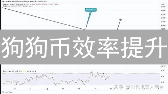 狗狗币效率提升：最新策略与未来机遇【深度解析】