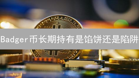 Badger币长期持有是馅饼还是陷阱？专家解读与投资指南