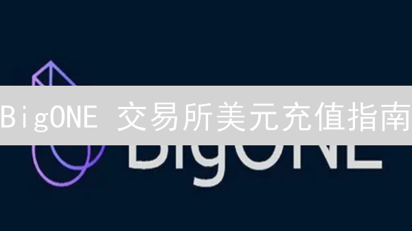 BigONE 交易所美元充值指南：3 步搞定，避坑指南！