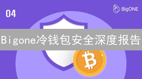 Bigone冷钱包安全深度报告：5大维度解读（2024最新）
