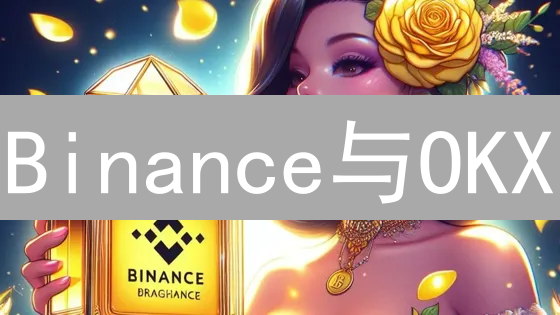 Binance与OKX：国际化交易体验的制胜之道？专家揭秘！