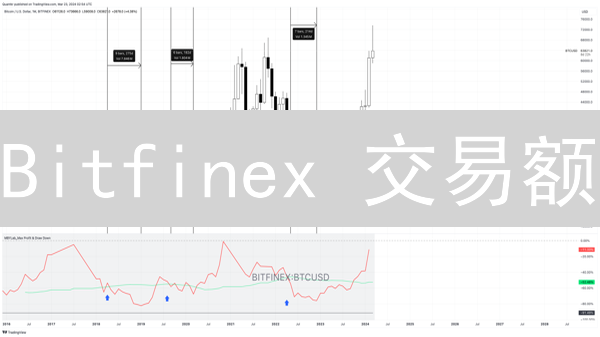 Bitfinex 交易额：加密货币市场健康的晴雨表 (深度解析)