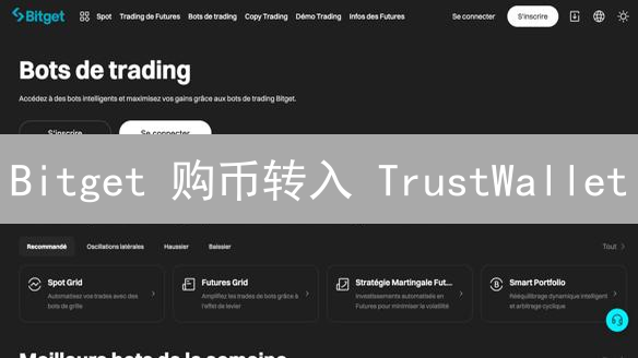 Bitget 购币转入 TrustWallet：新手指南（强调安全）
