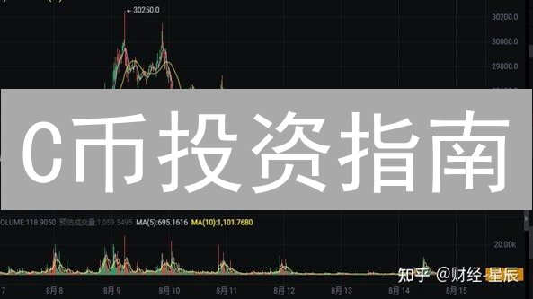 C币投资指南：7个关键点解读潜在价值与风险