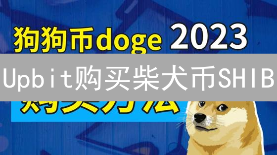 Upbit购买柴犬币SHIB：教程引发争议？还是新手必看秘籍？